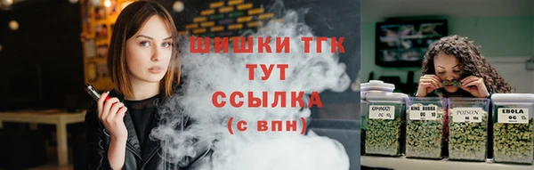 ПСИЛОЦИБИНОВЫЕ ГРИБЫ Абаза