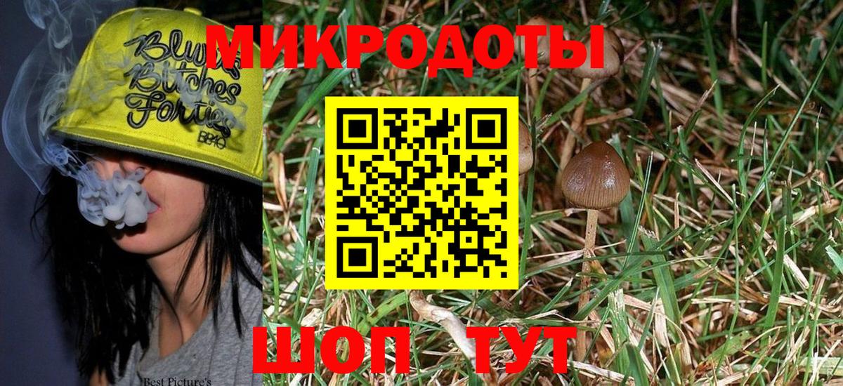 Новосибирск  Галлюциногенные грибы Magic Shrooms  Псилоцибиновые грибы ЛСД  Вход с VPN 